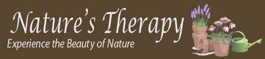 Nature's Therapy Banner